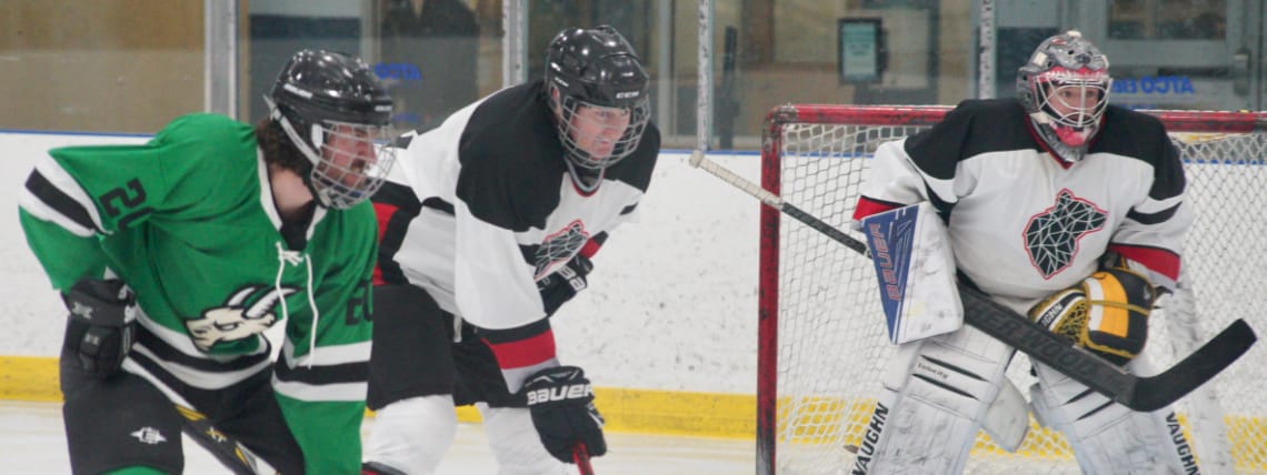 Hockey players lined up for a face-off. A skater in a green jersey is next to a skater in a white jersey, and the white team goalie is to their right.